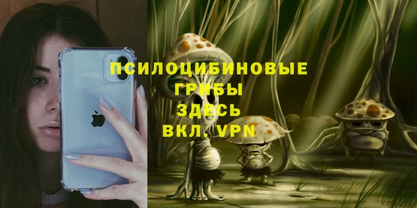 PSILOCYBIN Верхний Тагил